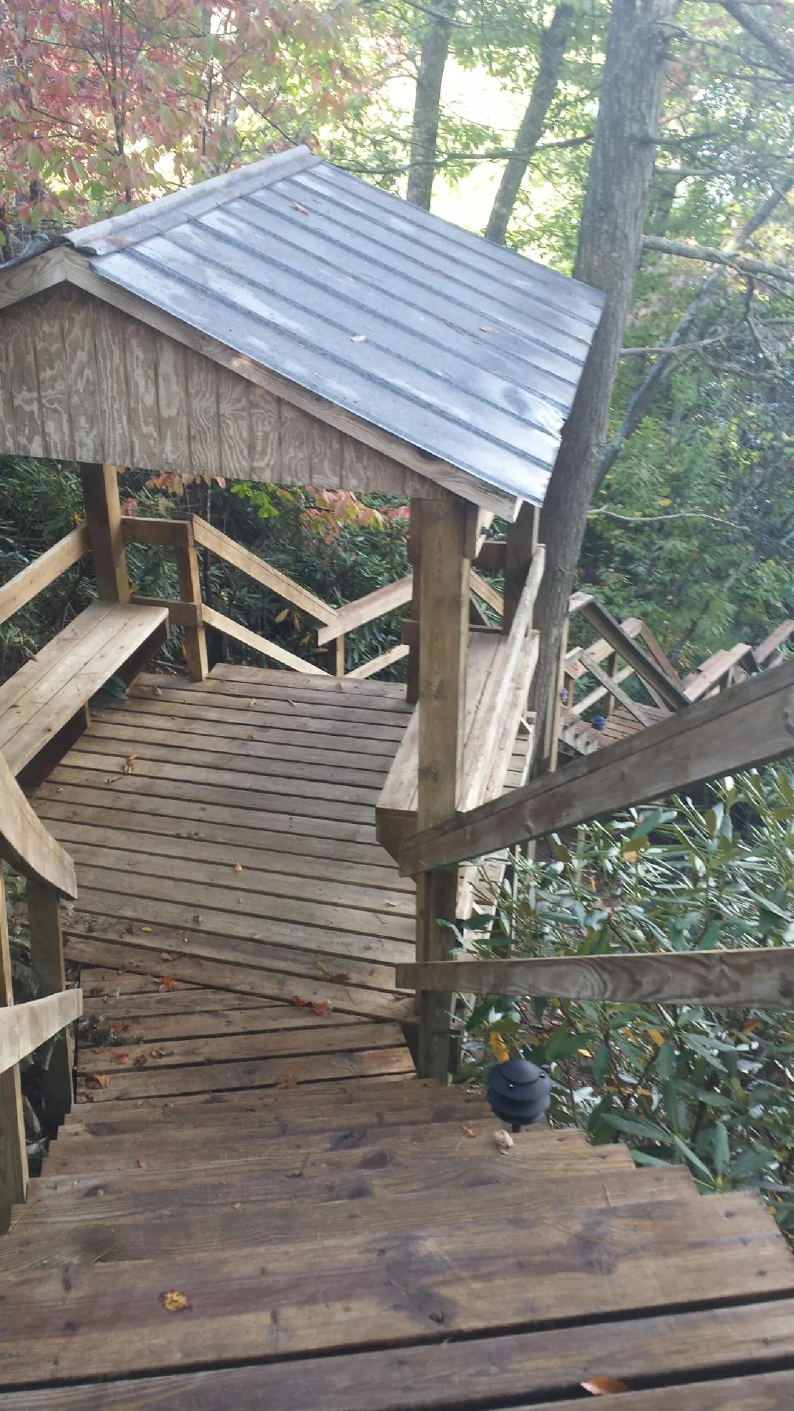 Metal roofed shelter over wooden steps on a wooded walkway — Skylight Repair & Installation work by our crew in Pe Ell