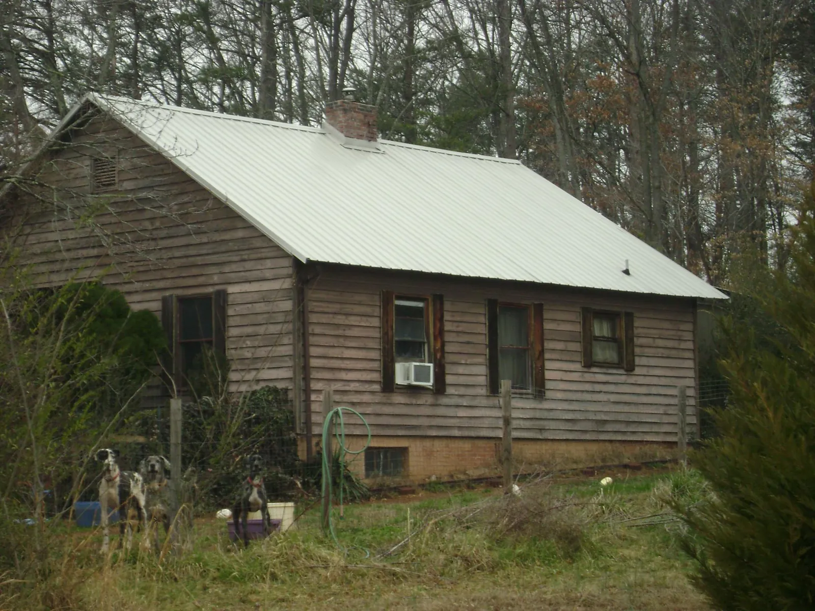 White metal roof on an old wood sided farmhouse, from a Metal Roof Installation job in Pe Ell